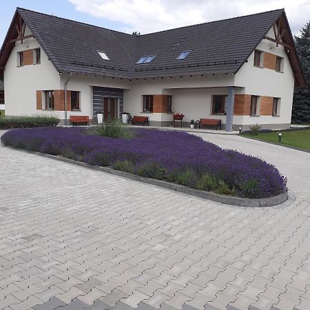 Agroturystyka Aura Kostrzyca Bagian luar foto