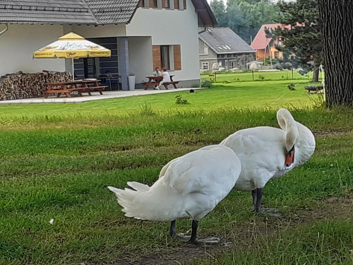 Agroturystyka Aura Kostrzyca Bagian luar foto