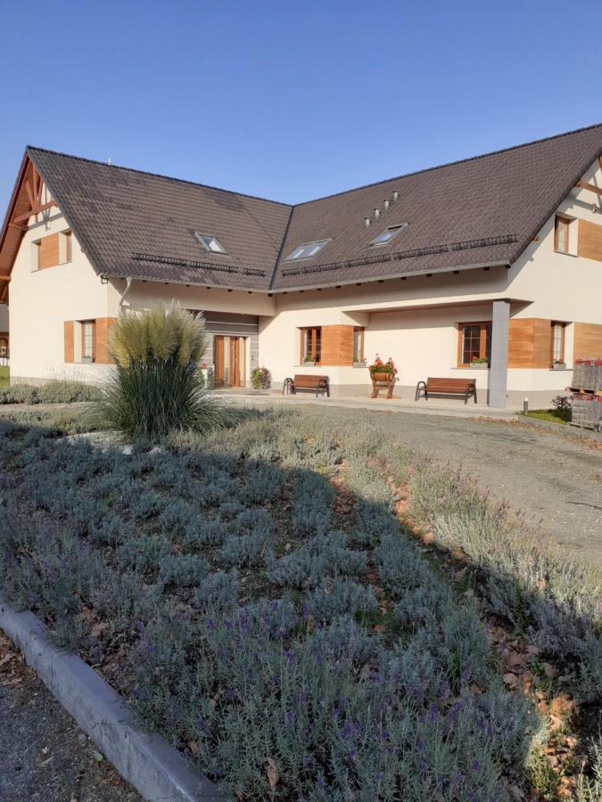 Agroturystyka Aura Kostrzyca Bagian luar foto