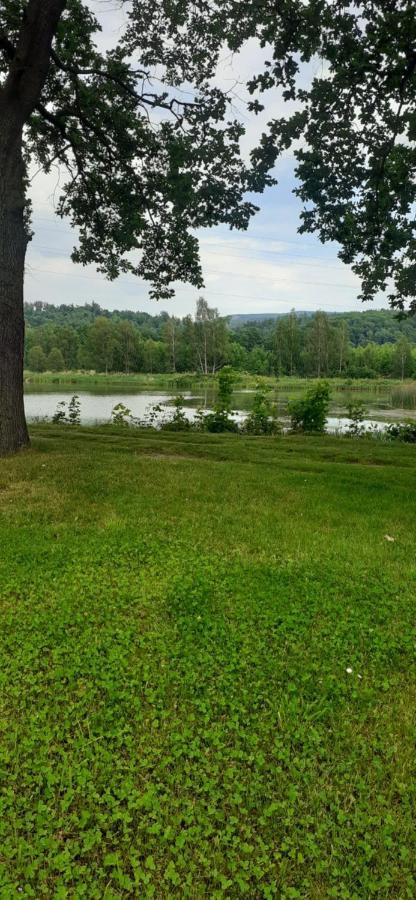 Agroturystyka Aura Kostrzyca Bagian luar foto