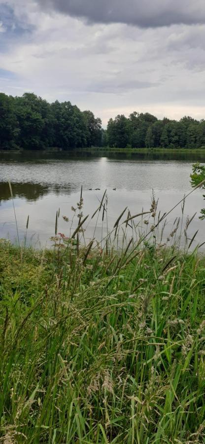Agroturystyka Aura Kostrzyca Bagian luar foto