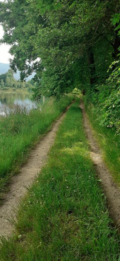 Agroturystyka Aura Kostrzyca Bagian luar foto