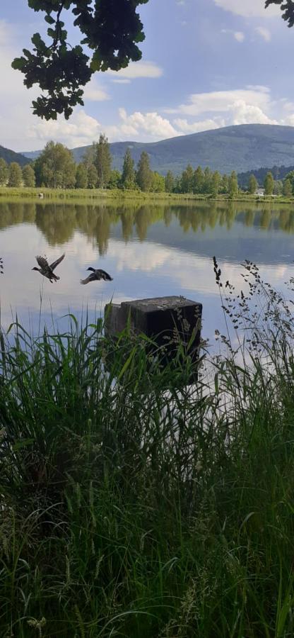 Agroturystyka Aura Kostrzyca Bagian luar foto