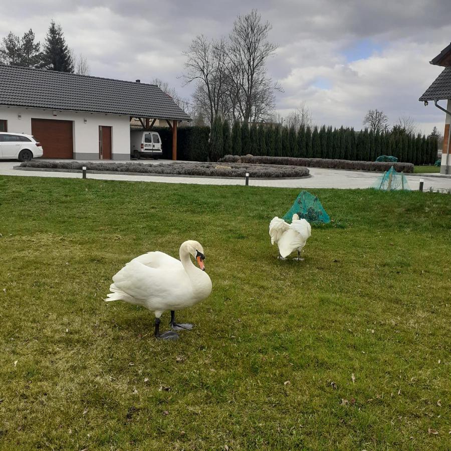 Agroturystyka Aura Kostrzyca Bagian luar foto