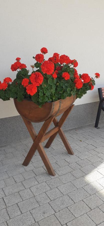 Agroturystyka Aura Kostrzyca Bagian luar foto