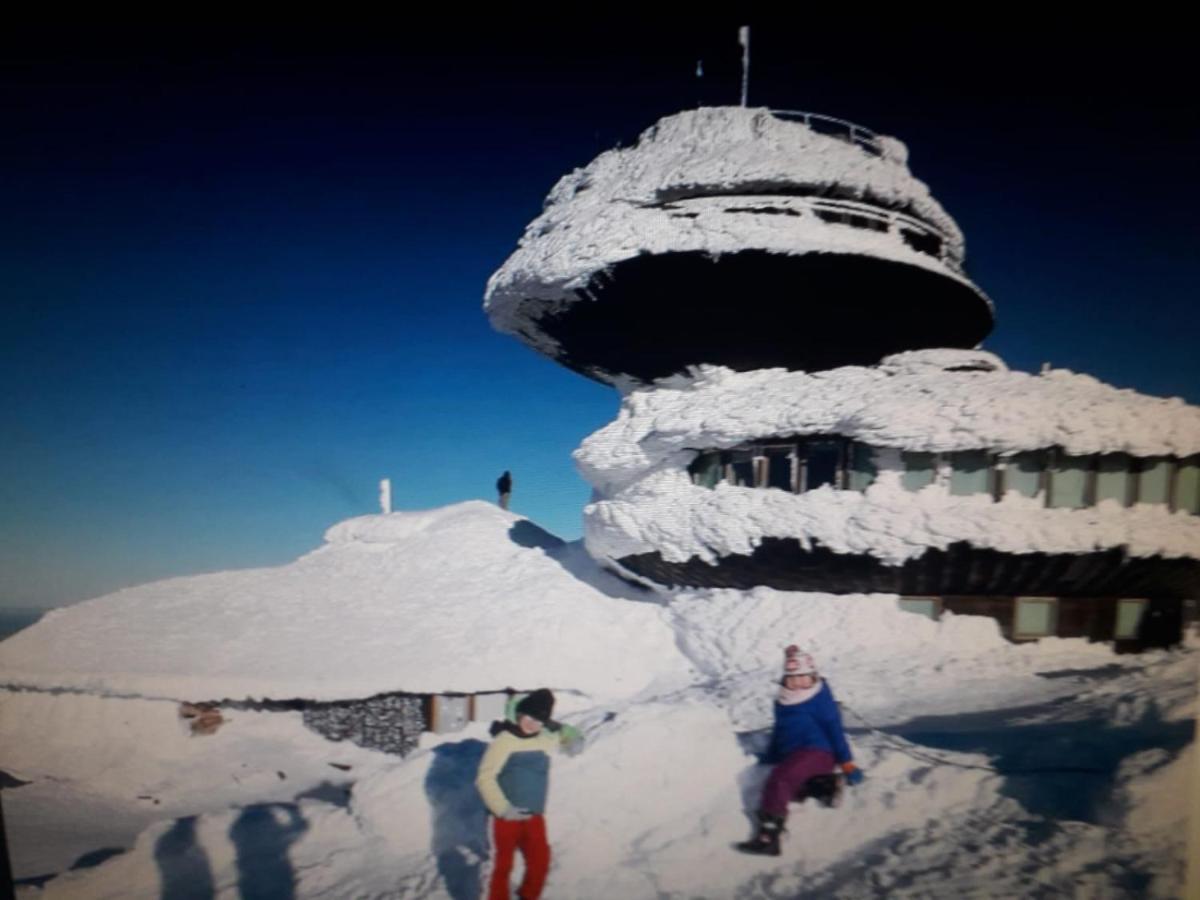 Agroturystyka Aura Kostrzyca Bagian luar foto