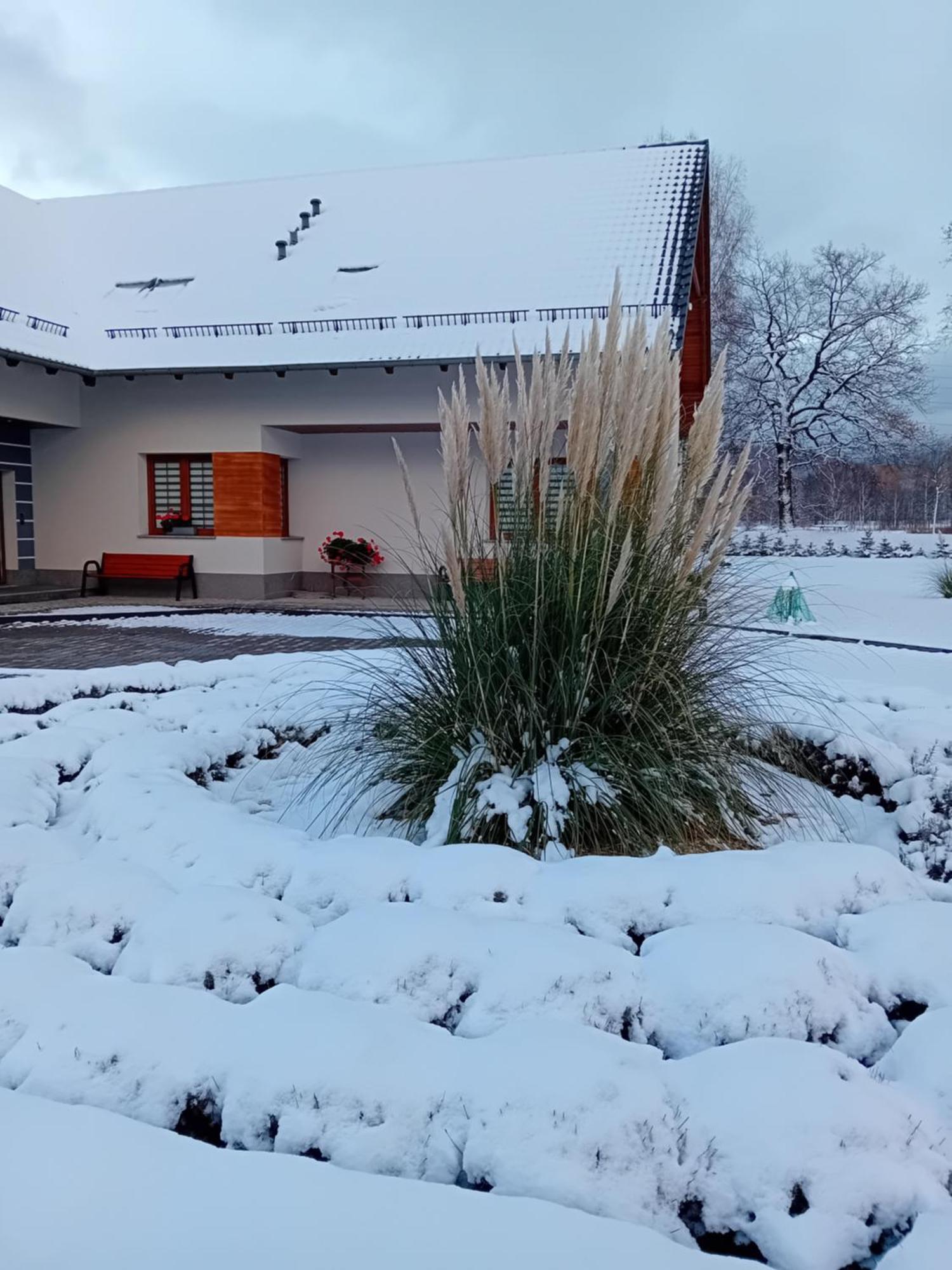 Agroturystyka Aura Kostrzyca Bagian luar foto