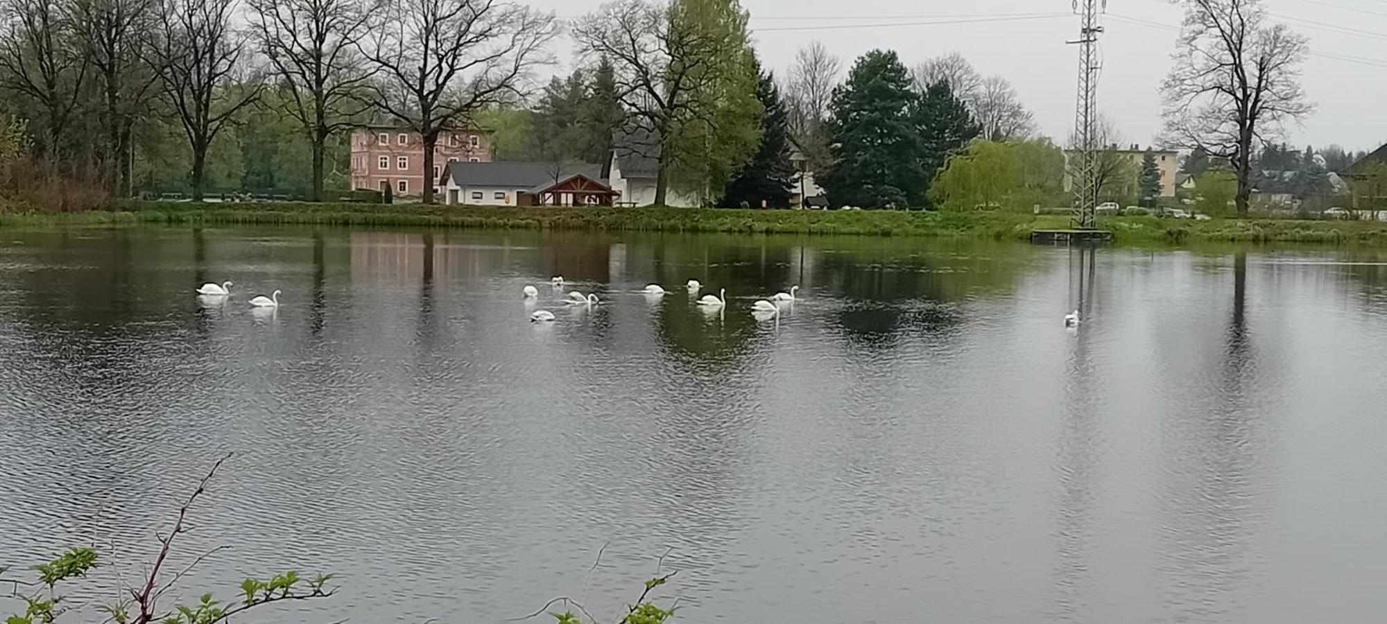 Agroturystyka Aura Kostrzyca Bagian luar foto