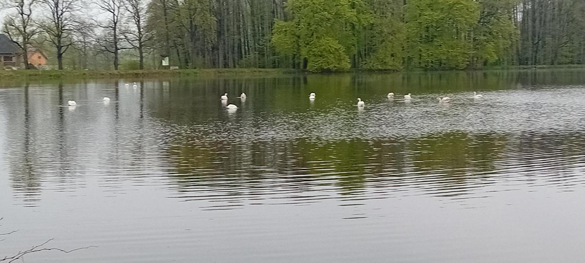 Agroturystyka Aura Kostrzyca Bagian luar foto